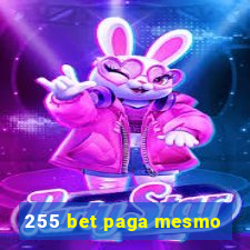 255 bet paga mesmo